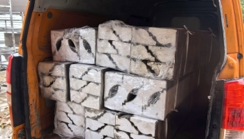 项目动态更新——泸溪家装发货