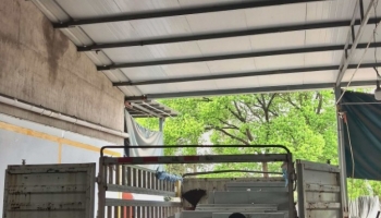 项目动态更新——小家装发货